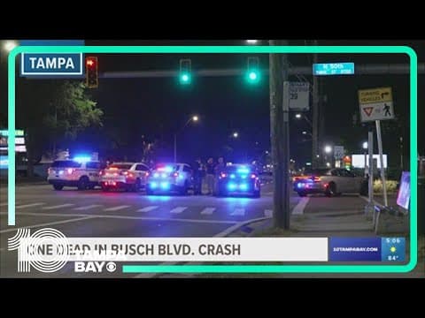 Tampa police arrest man accused of leaving deadly hit-and-run scene