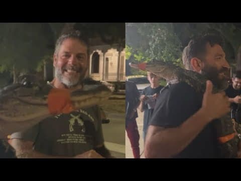 Three Texas men cited for gator possession in New Orleans