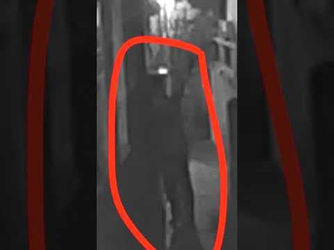 Peeping Tom caught lurking around female San Diego State students bedroom. #sandiego