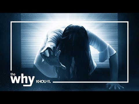 Why do some of us enjoy being scared?