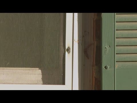 Texas teenager accused of deadly drive-by shooting