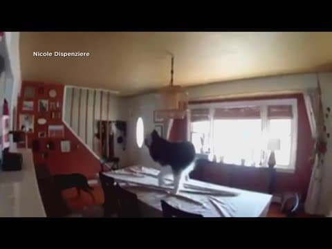 Earthquake rattles New York, East Coast region