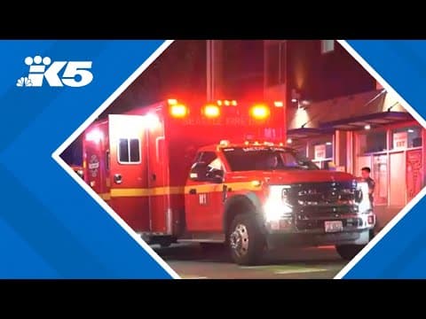 Man arrested for allegedly stabbing his own mother