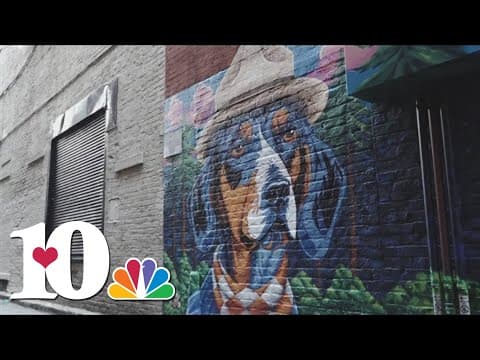 Knoxville artist brings Smokey to Strong Alley in new downtown mural