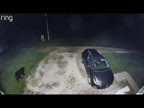 Ring camera captures black bear in Morrow County