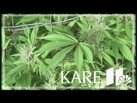 Minnesota House passes cannabis legislation aiming to speed up retail sales