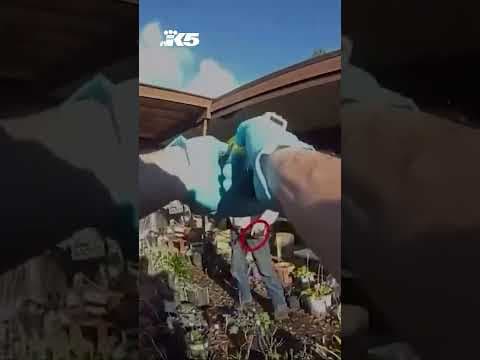Bodycam video shows moments leading up to fatal Bellevue police shooting
