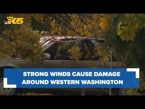 Strong winds cause power outages, property damage in western Washington Thursday