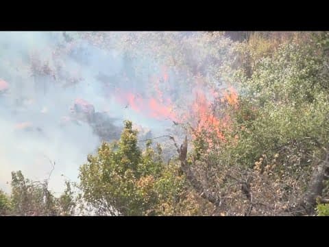 Bunnie Fire in Ramona burns nearly 200 acres, evacuation ordered