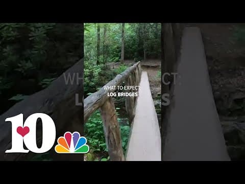 Hiking to Abrams Falls in Cades Cove
