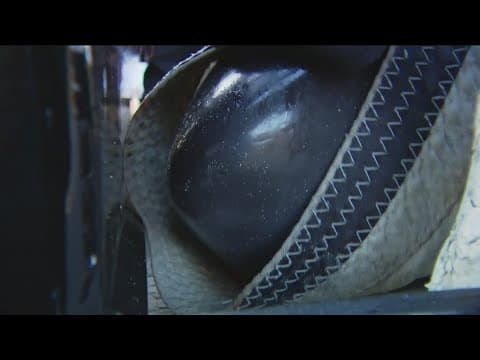 Beached whale discovered in Carlsbad dies after rescue, SeaWorld San Diego says