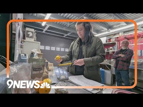 Whiskey Wenches Spirits Society dedicated to women's spirits education