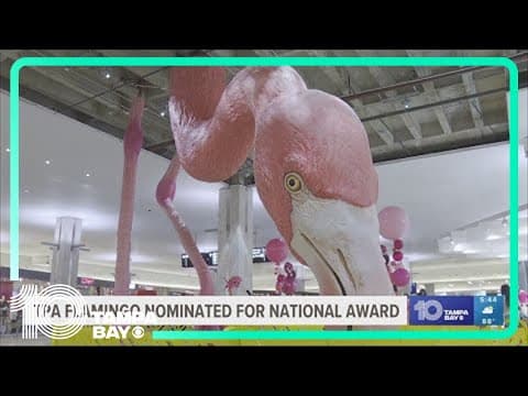 TPA's large flamingo statue 'Phoebe' competes for title of top public art project