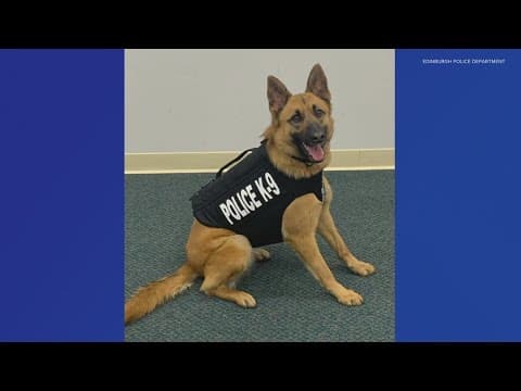 Edinburgh police K-9 dies after infection diagnosis