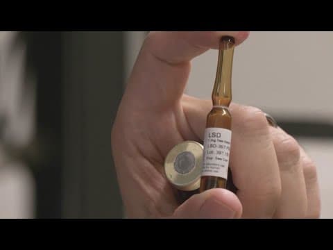 Scientists studying effect of LSD on rats