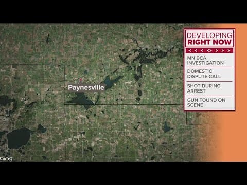 Paynesville police officer allegedly shoots and kills armed man