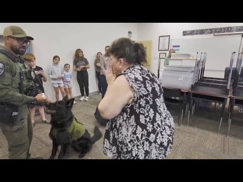 K9 discovers teachers missing wedding ring