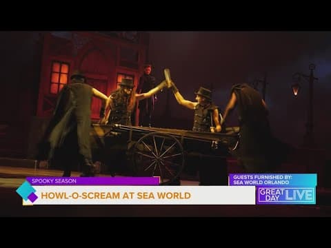 Something wicked this way comes from Orlando