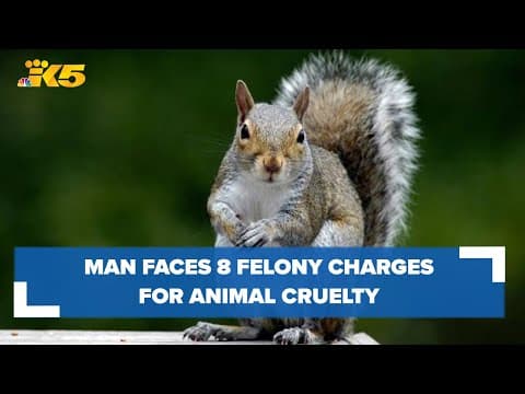 Everett man faces 8 felony charges for shooting birds, squirrels, neighbor's cat