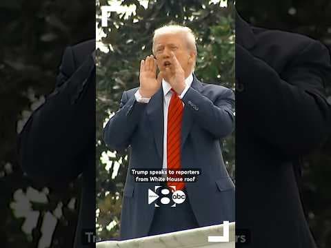 President Trump was spotted on the White House roof, seemingly planning a new addition