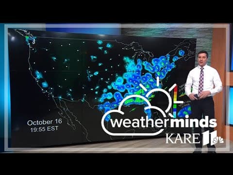 WeatherMinds: Bird migration