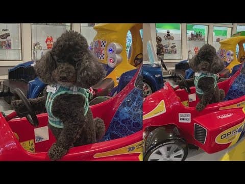 Your Good News: Dick Miller and Marcia Morris, Deborah Martin, Hazel McCrury