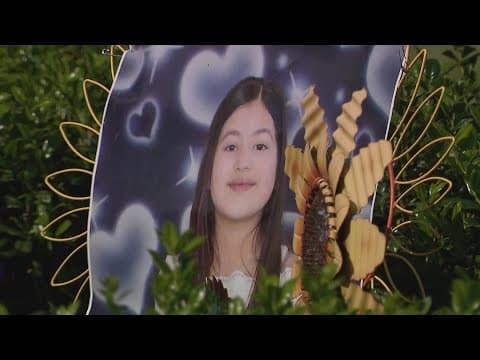 Tony Earls receives max sentence after guilty manslaughter verdict in Arlene Alvarez's shooting