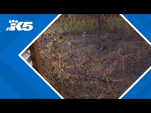 12 suspicious fires set in Kitsap County