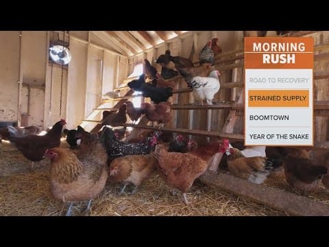 USDA predicts egg prices will rise 20% this year