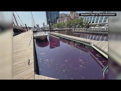 2,000-gallon oil spill taints Baltimore's Inner Harbor