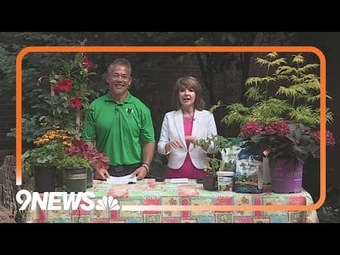 Get a jump on spring planting, landscaping