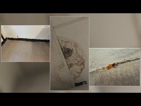 Parents concerned about mold at elementary school in Lafourche Parish