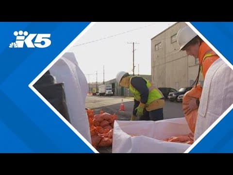 South Park preparing for king tides