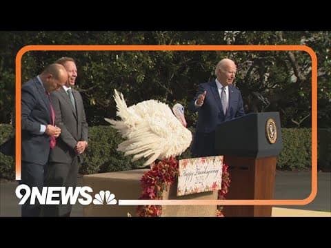 'Liberty' and 'Bell' saved in annual turkey pardoning