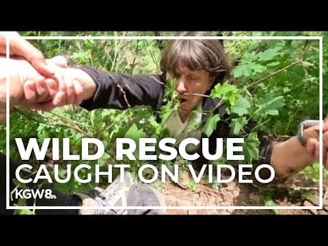 Woman rescued after falling down drop-off on the Larch Mountain Trail