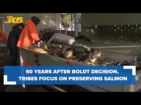 50 years after Boldt Decision, tribes work to preserve salmon as a way of life