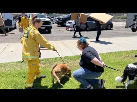 Military family reunited with pets after plane crash forces evacuations in San Diego neighborhood