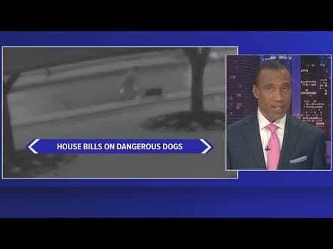 Texas dog safety bills stall in House