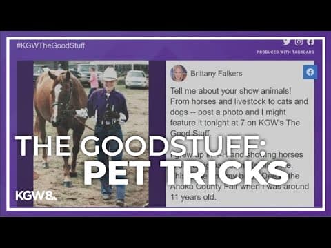 Viewers share their skilled pets | The Good Stuff