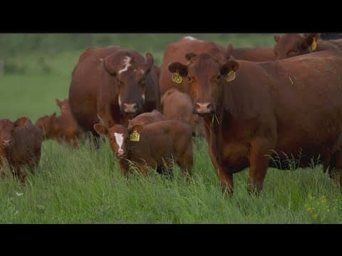 Rancher and researcher: The 2 unlikely friends