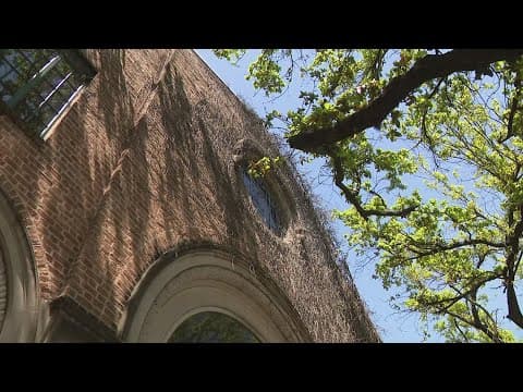 Houston news: Public library in Montrose closing for good