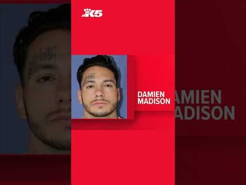 Search for armed suspect in Thurston County continues