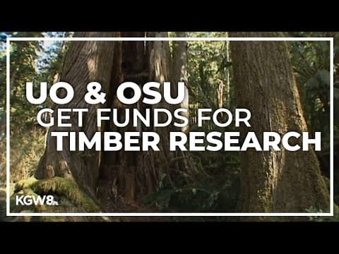 Oregon universities receive grant funding for timber research