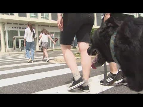 Southwest DC intersection may see changes after 74-year-old woman killed while crossing street