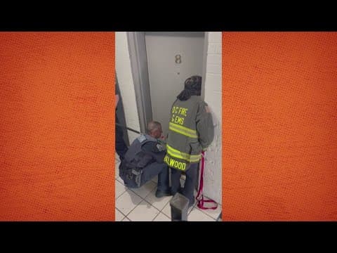 5 abandoned dogs found in Southeast apartment by crews with DC Water