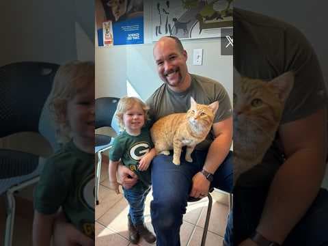 Cat who showed up at crash scene adopted by firefighter