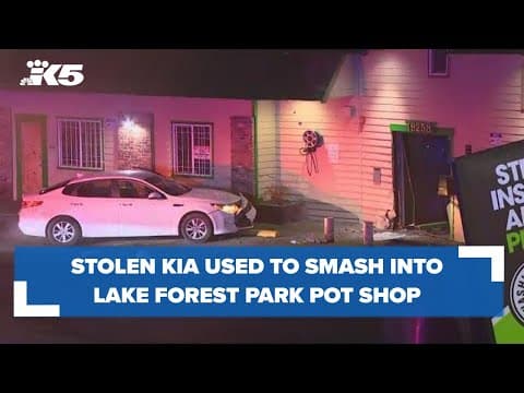 BREAKING: Stolen Kia smashes into Lake Forest Park cannabis shop