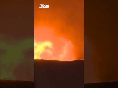 Former Eastlake Bar & Grill in Seattle burns down in overnight fire