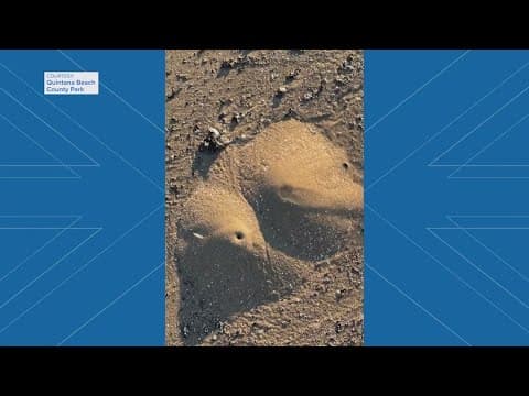 Why these 'mini volcanoes' are all over Texas beaches right now