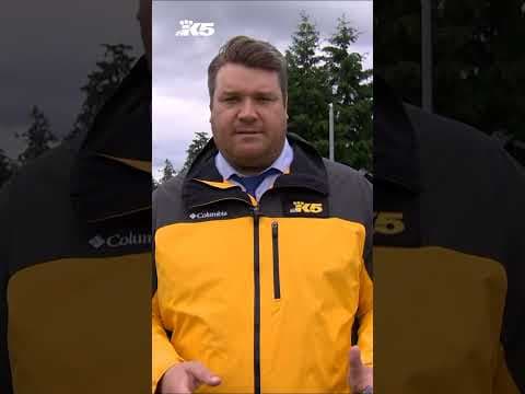 1 dead, 3 injured during violent incident on I-5